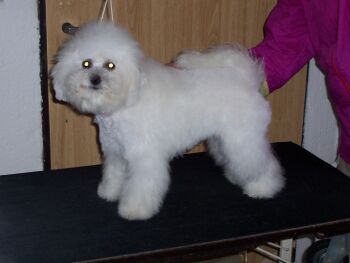 HANNAH ODEBL Z PODCHOTOUC�