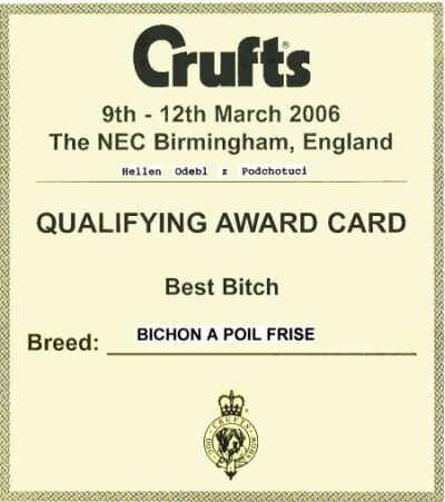 Cenn� druh� kvalifikace ze t��dy otev�en� z Belgie