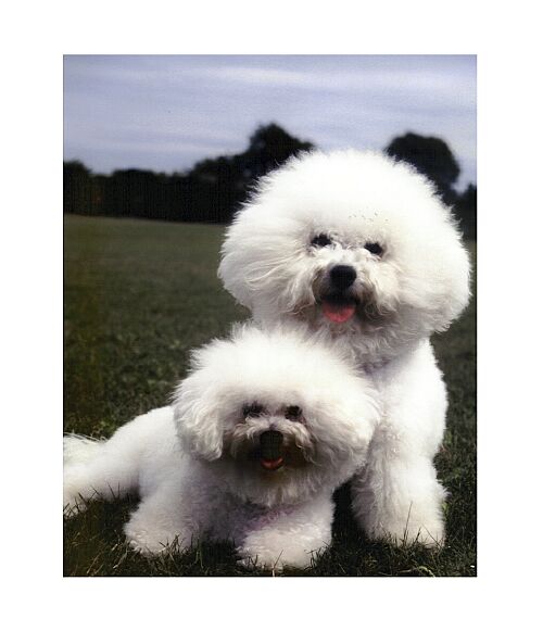 Ps� kalend�rium 2005