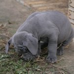 �t��ata 6 t�dn�