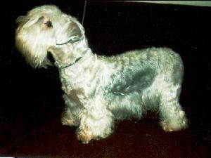 Z K�enov�ho  pole