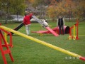 agility