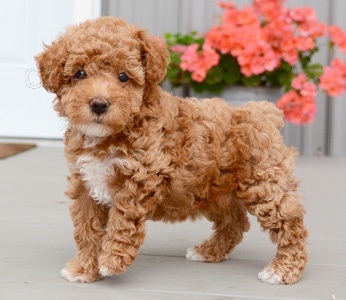 Hra�ka pudl p�ipraven k p�ijet�. Nyn� m�me k dispozici mu�e a �eny