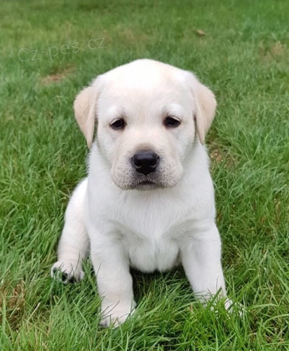 �t���tka LR s PP