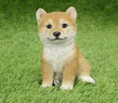 Prijmite teraz.Kr�sne a hrav� �teniatka psov akita s� k dispoz�cii na adopciu