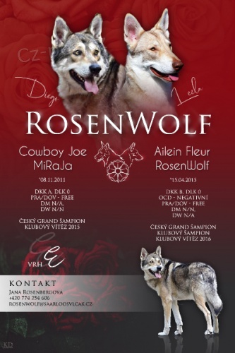 Saarloos�v vl��k s PP