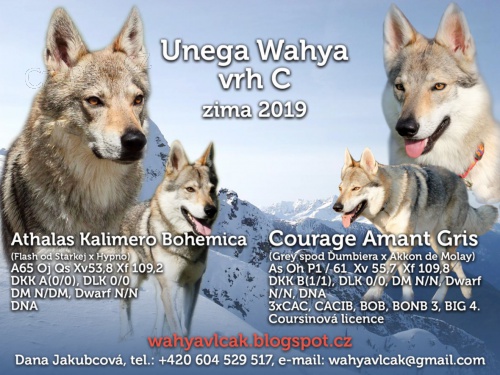 �eskoslovensk� vl��k s PP_�t��ata