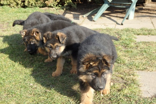 �t��ata NO s PP ji� budou k odb�ru