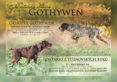 �t���tka �esk� fousek s PP