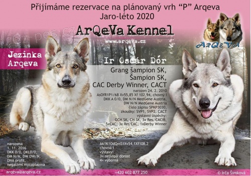 �eskoslovensk� vl��k s PP - rezervace