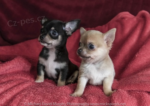 N�dhern� �t��ata �ivavy