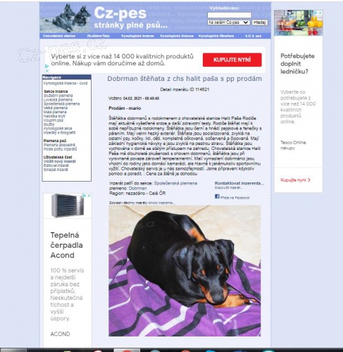 Dobrman �t��ata z chs halit pa�a s pp prod�m