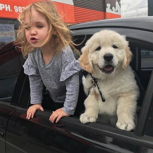 Malt�tina na prodej.