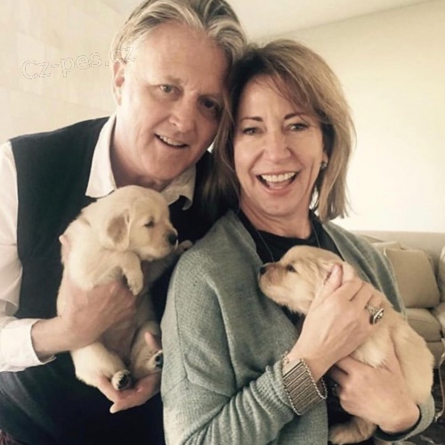 Zlat� retr�vr �t��ata.