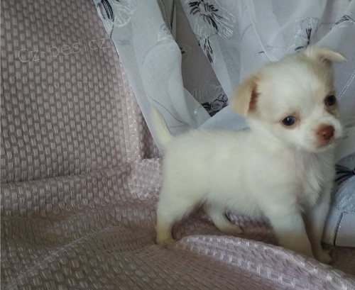 civava �t��ata jsou k dispozici