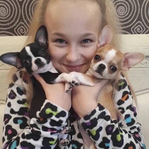 �t��ata �ivavy 