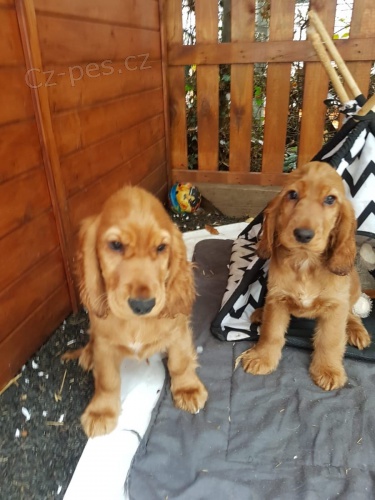 Prod�m rozko�n� �t���tka.