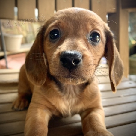 Prod�m rozko�n� �t���tka.