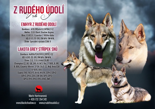 ,, J " Z Rud�ho �dol�