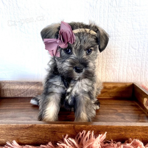 �t��ata mal�ho kn�ra�e