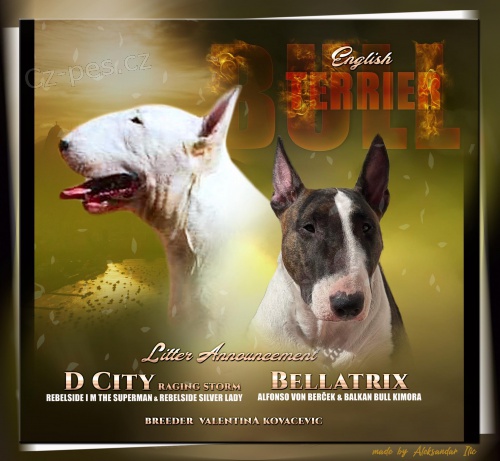 Bulteri�r �t��ata