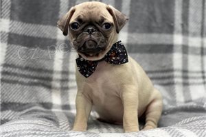 2 �t��ata mopsl�k�.