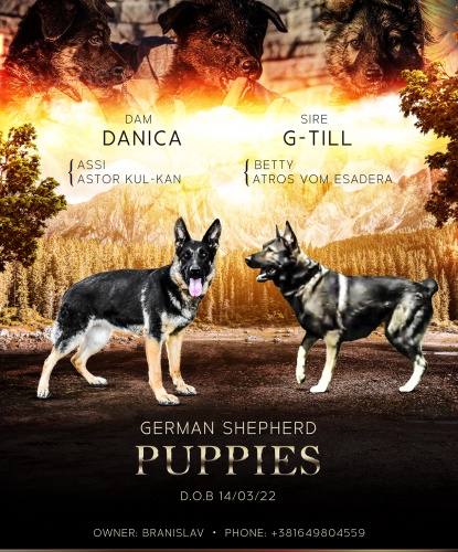 N�meck� ov��k