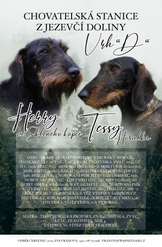 Jezev��k drsnosrst� standard s PP