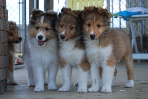 Prod�m �t��ata �eltie