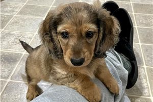 Kr�sn� �t��ata jezev��ka.