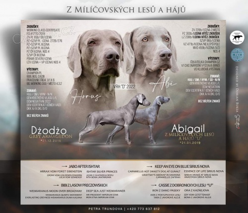 V�marsk� oha� - �t��ata s PP