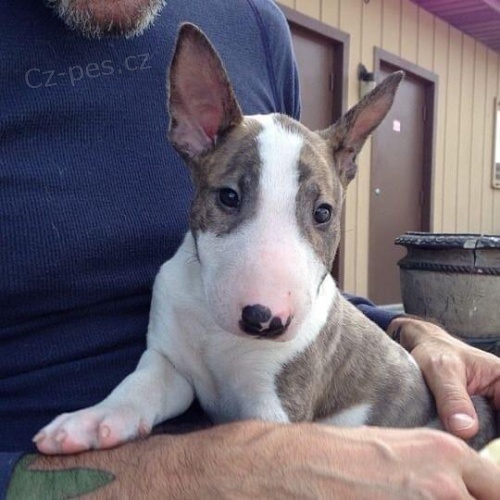 �t��ata b���ho teri�ra.