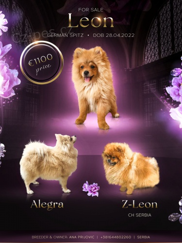 Pomo�ansk� �pic chlapec