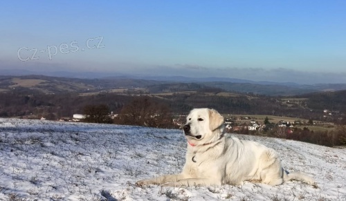 Slovensk� �uva� - �t��ata