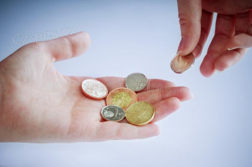 Nab�z�me p��stup k okam�it� p�j�ce v �esk� republice.