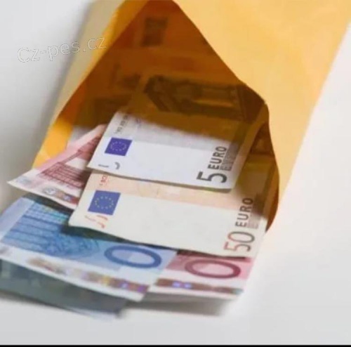 Nab�dka p�j�ek mezi jednotlivci