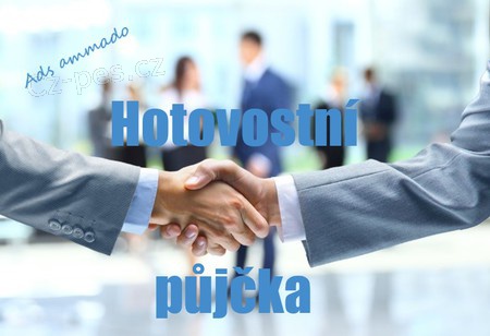 Soukrom� investor, kter� p�j�uje