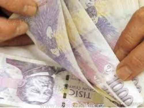 Pot�ebuje� p�j�ku????