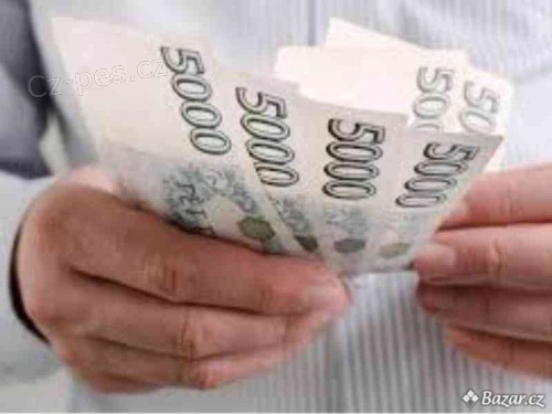 rychl� p�j�ka bez dolo�en� p��jmu