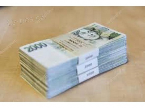   FINANCN� PODPORA PRO V�� PROJEKT OD 200 000 Kc do 30 mil. 