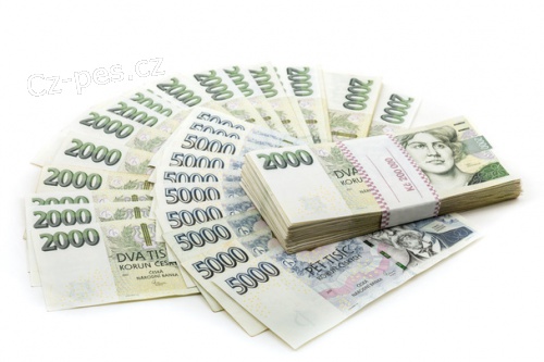 Nab�dka p�j�ek mezi jednotlivci