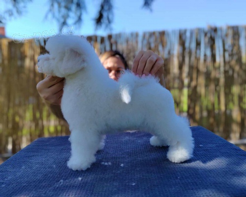 Bi�onek �t�n�