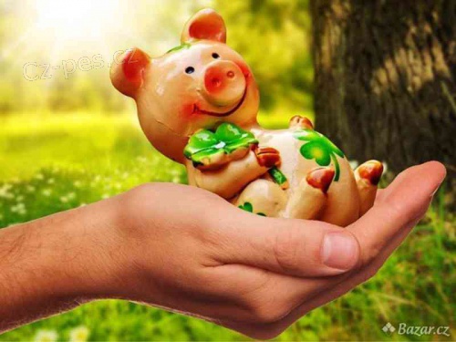 Hled�te legitimn�ho finan�n�ho v��itele?