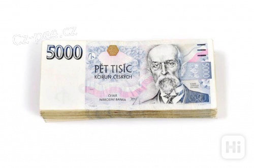 Rychl� a seri�zn� nab�dka p�j�ky