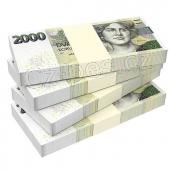 Finan�n� pomoc od soukrom�ho investora