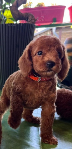 Miniaturn� pudl �t��ata