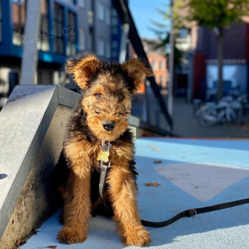 �t���tka erdelteri�r