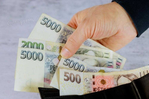 Poctiv� a spolehliv� �v�r do 24 hodin.