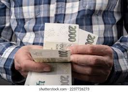 Online a spolehliv� nab�dka p�j�ek