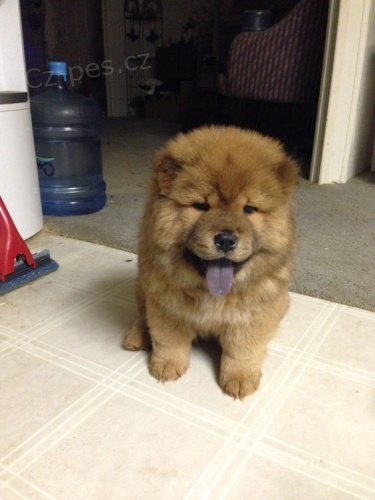 �au-�au �t��ata